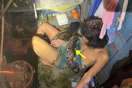 Bị trăn khổng lồ siết chặt, bà lão vật lộn suốt 2 tiếng đồng hồ và thoát chết