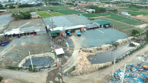 Sau phản ánh của VTC News, Ninh Thuận rốt ráo xử lý ô nhiễm do lò hấp cá