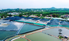 Bà Rịa-Vũng Tàu: Phát triển kinh tế bền vững gắn bảo vệ môi trường