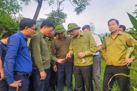 Ngày mai, Lào Cai khởi công xây dựng khu tái định cư Làng Nủ