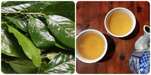 Những người nào nên hạn chế uống nước chè xanh?