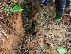 Phát hiện vết nứt dài hơn 120m trên quả đồi, hàng chục hộ dân sơ tán khẩn cấp