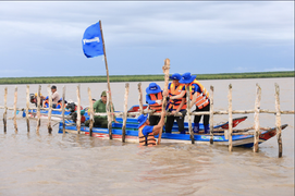 Vinamilk thực hiện dự án Cánh rừng Net Zero, hướng đến trung hòa khí nhà kính