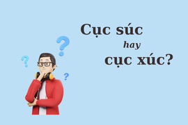 90% người dùng sai chính tả: 'Cục súc' hay 'cục xúc'?