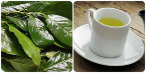 Điều gì sẽ xảy ra nếu bạn uống nước chè xanh mỗi ngày?