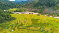 Đến Măng Đen thưởng ngoạn ruộng bậc thang Kon Tu Rằng