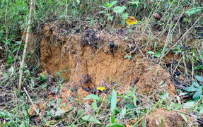 Cận cảnh vết nứt dài hơn 120m trên quả đồi ở Quảng Nam khiến cả làng sơ tán