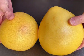 Muốn biết bưởi ngọt hay không chỉ cần để ý 5 điểm này