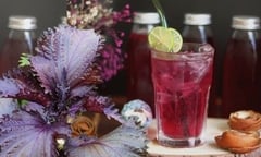 Nước lá tía tô tốt cho sức khỏe và sắc đẹp nhưng đại kỵ với những người này