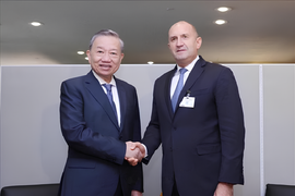 Tổng Bí thư, Chủ tịch nước Tô Lâm gặp Lãnh đạo các nước