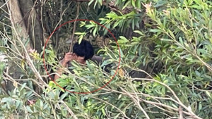 Lời kể của nam thanh niên sống sót kỳ diệu sau 9 ngày bị nước lũ cuốn trôi