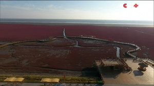 Toàn cảnh bãi biển đỏ rực, rộng cả trăm km2 ở Trung Quốc