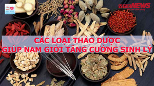 Điều trị vô sinh ở nam giới bằng thảo dược