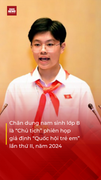 Chân dung nam sinh lớp 8 làm Chủ tịch 'Quốc hội trẻ em'