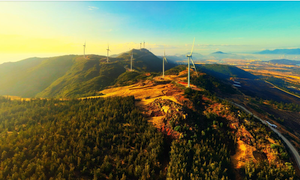 Ngắm cung đường xuyên đồi cát, băng qua điện gió tại Bình Định