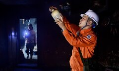 Chuyển đổi số lấy khách hàng làm trung tâm: Chiến lược kinh doanh của EVNNPC