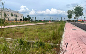 Tôi thà bị chê ngu cũng đầu tư sản xuất chứ không kiếm chác bằng đầu cơ đất