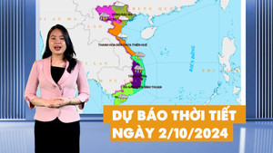 Dự báo thời tiết đêm nay và ngày mai 2/10