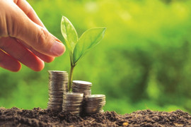 Tín dụng xanh là gì? 