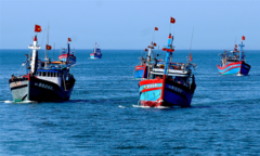 Thanh tra châu Âu sắp tới Việt Nam xem xét gỡ 'thẻ vàng' IUU thủy sản