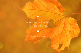 Những status, caption ấn tượng, câu nói hay về mùa thu