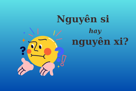Thử thách Tiếng Việt: 'Nguyên si' hay 'nguyên xi'?