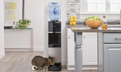 Tại sao ngày càng ít gia đình để cây nước nóng lạnh trong nhà?