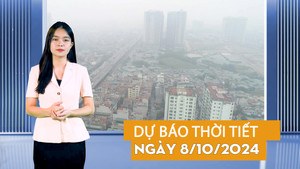 Dự báo thời tiết đêm nay và ngày mai 8/10