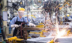 Thủ tướng chỉ đạo giảm lãi suất cho vay, giảm thuế để hỗ trợ doanh nghiệp