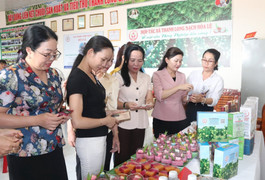 HTX Thanh long sạch Hoà Lệ: Làm giàu từ trái thanh long