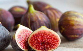 Lợi ích của việc thêm quả sung vào chế độ ăn uống hàng ngày