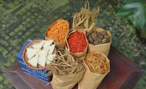 Bí quyết bổ sung nội tiết tố từ dược liệu thiên nhiên