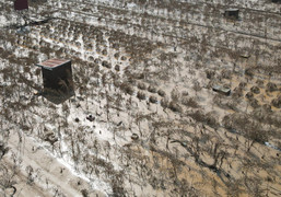 Cử tri Hà Nội kiến nghị nâng mức hỗ trợ cho người dân bị thiệt hại do thiên tai