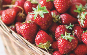 Mẹo bảo quản dâu tây tươi lâu