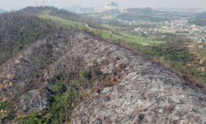 Quảng Ninh: Nhiệm vụ phòng cháy chữa cháy rừng cấp bách như phòng chống bão