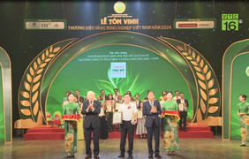 NPK Phú Mỹ 20-10-10+TE: 'Thương hiệu Vàng nông nghiệp Việt Nam năm 2024'