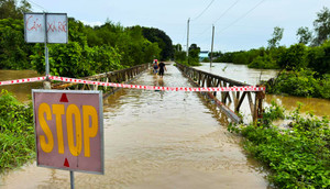 Bình Thuận: Mưa lớn kéo dài, hàng trăm hecta hoa màu chìm trong biển nước
