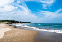 Nỗ lực tìm kiếm công dân bị sóng biển cuốn trôi tại Nhật Bản