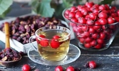 Loại quả khô là 'vàng mười', ngâm với nước giúp hạ mỡ máu, ngừa ung thư
