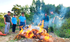 Thanh Hóa tiêu hủy hơn nửa tấn măng khô không rõ nguồn gốc