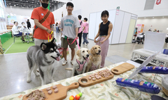 Nhiều người Hàn Quốc sẵn sàng chi gần 40 triệu đồng học nấu ăn cho thú cưng