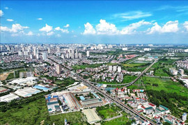 Đấu giá đất Hà Đông cao nhất 262 triệu đồng/m2: Giá thị trường thế nào?