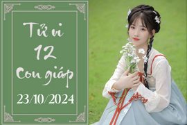 Tử vi 12 con giáp hôm nay ngày 23/10/2024: Tý ổn định, Thìn nóng vội 