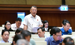 ĐBQH lo ngại xuất hiện các băng nhóm tội phạm chỉ sử dụng người dưới 18 tuổi