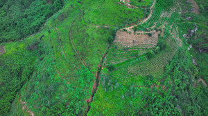 Lâm Đồng: Vết nứt lớn chẻ đôi ngọn đồi, nhiều hộ dân bất an