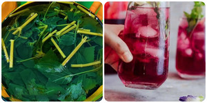 Công thức nấu nước lá tía tô tốt cho sức khoẻ