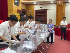 Huyện Thường Tín đấu giá đất, thu về gần 125 tỷ đồng