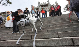 Xem robot chó leo bậc thang, dọn rác trên núi