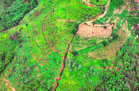 Cận cảnh rãnh nước như vết nứt 'há mồm' ở Lâm Đồng khiến người dân bất an 