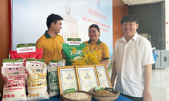 Tây Ninh phát triển sản phẩm OCOP gắn liền bản sắc và bền vững